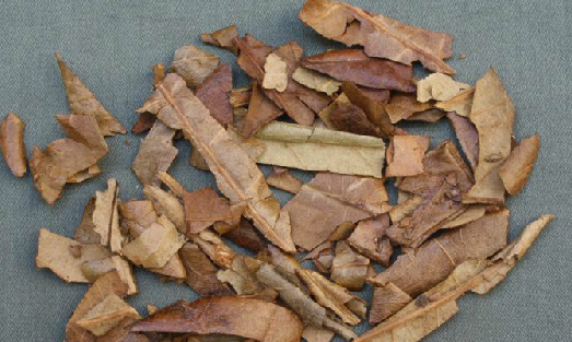 枇杷叶（中药）