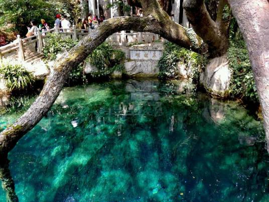 蝴蝶泉(中国4A级旅游景区)
