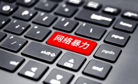 网络暴力(社会现象)