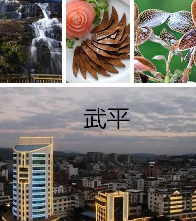 武平县