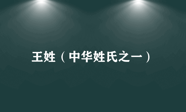 王姓（中华姓氏之一）
