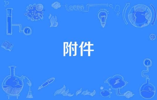 附件（女性生殖器官）