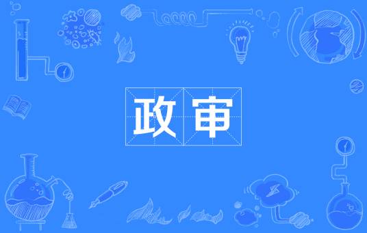 政审