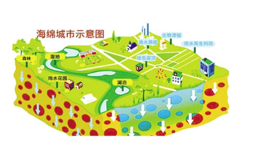 海绵城市（水资源管理策略和方法）
