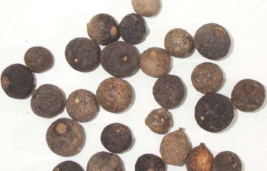 岐黄（汉语词语）