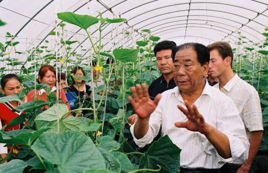 农业产业化（农业学术语）