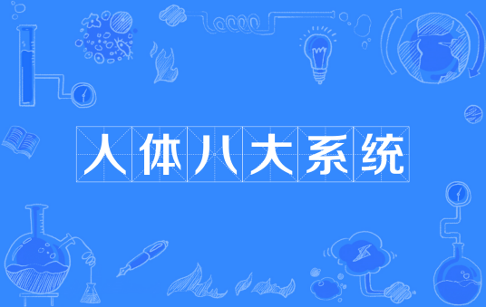人体八大系统