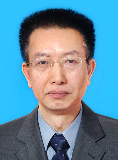 陈晓明(中央文史研究馆馆员,北京大学中文系教授)