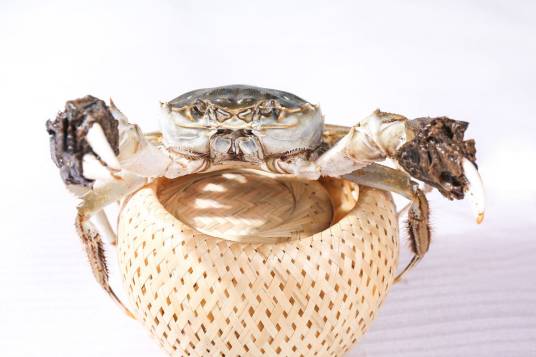 阳澄湖大闸蟹