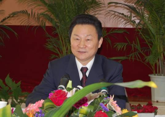 赵斌(湖北省人大常委会原副主任)