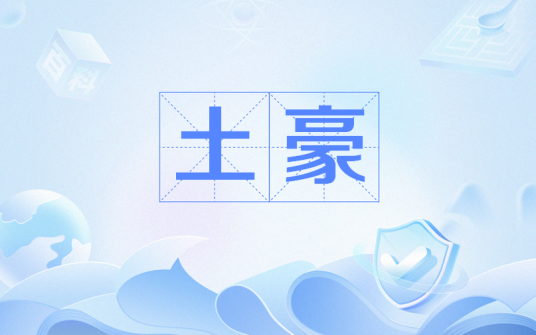 土豪(网络用语)