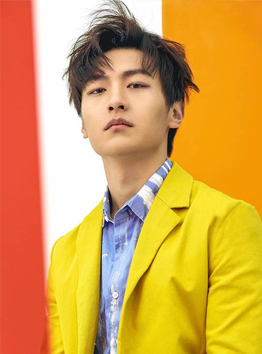 王子诚（中国内地影视男演员、歌手、主持人）