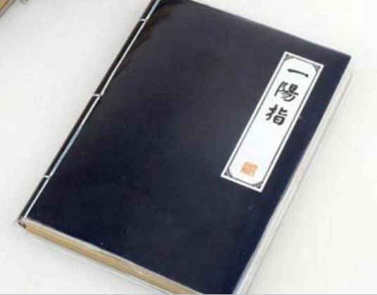 一阳指(金庸小说《天龙八部》和《射雕三部曲》系列中的武功)