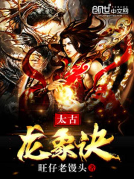 太古龙象诀（旺仔老馒头创作的东方玄幻类网络小说）