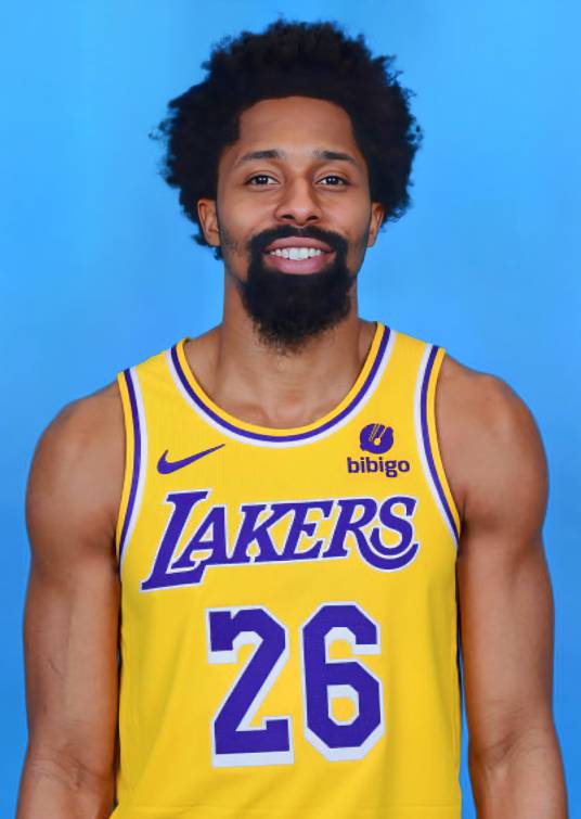 斯宾塞·丁维迪