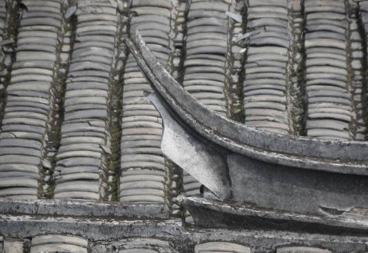 瓦片（建筑材料）