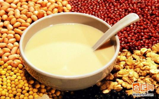 植物蛋白（蛋白质种类之一）