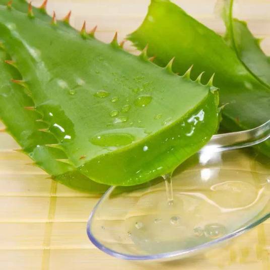 芦荟胶
