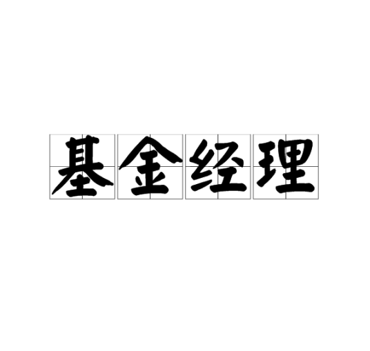 基金经理（证券业职位）