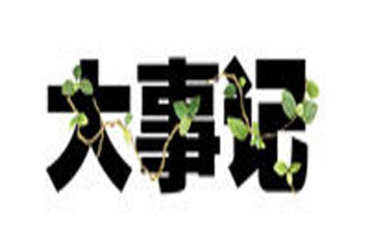 大事记（一种应用文体）