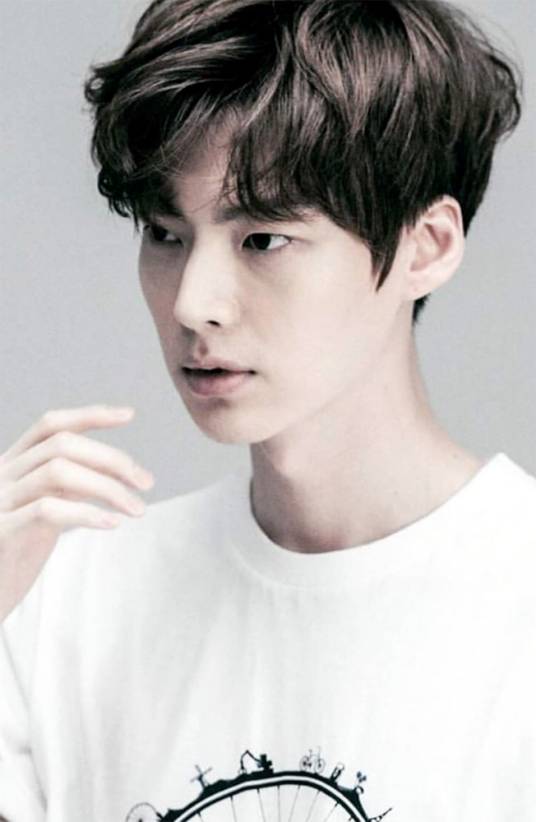 安宰贤（韩国男演员、模特）