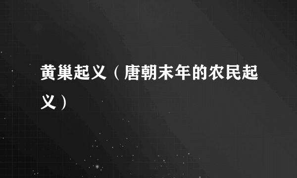 黄巢起义（唐朝末年的农民起义）
