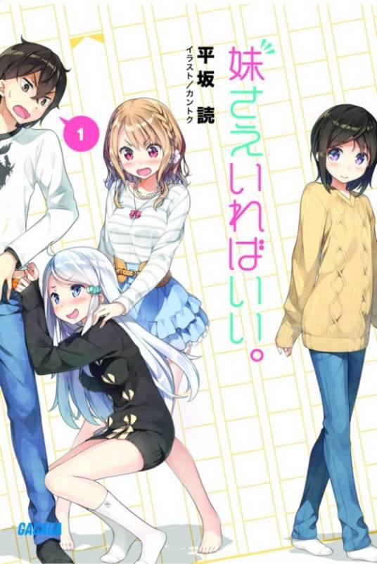 如果有妹妹就好了。（平坂読著作的轻小说）