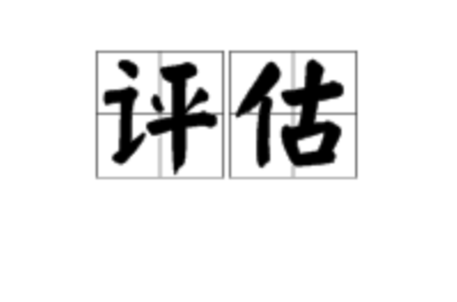 评估（汉语词语）