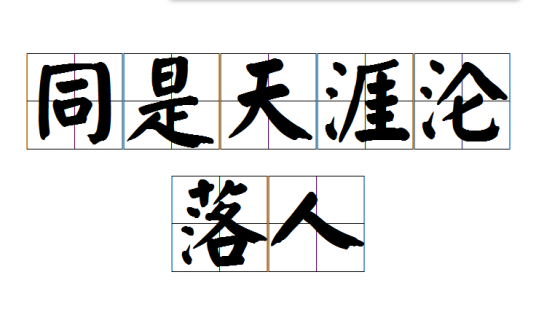 同是天涯沦落人（成语）