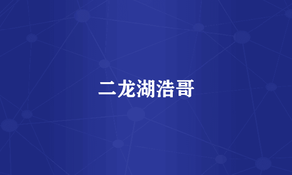 二龙湖浩哥