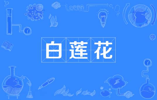 白莲花（网络流行词）