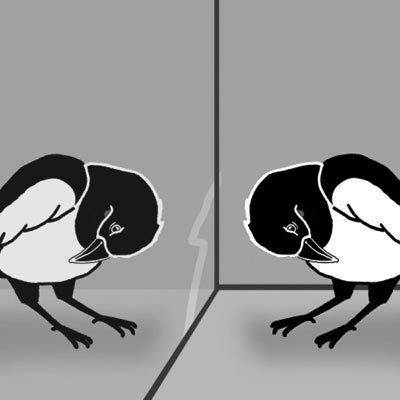自我（心理学词语）