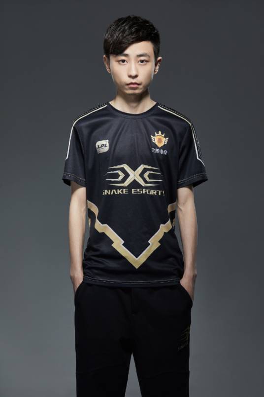 杨藩(中国前《英雄联盟》电竞选手)