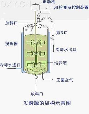 生物反应器