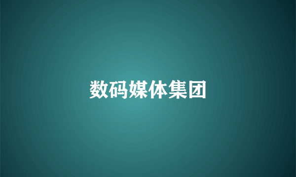 数码媒体集团