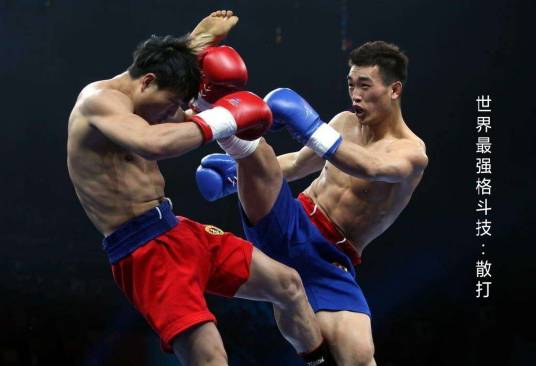 散打（中国现代搏击）