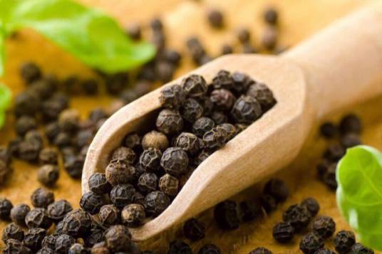 黑胡椒（胡椒科胡椒属植物）
