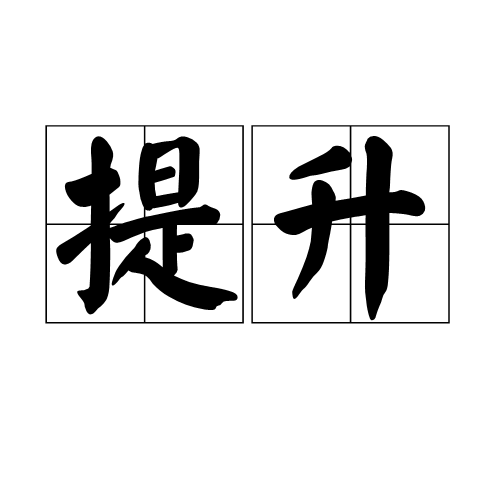 提升（汉语词语）