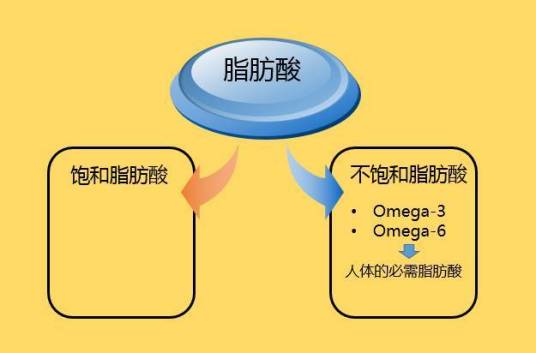 饱和脂肪酸