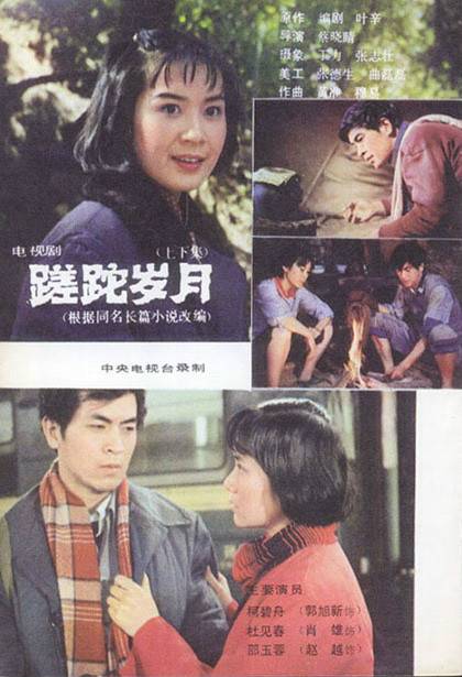 蹉跎岁月（1982年蔡晓晴执导电视连续剧）