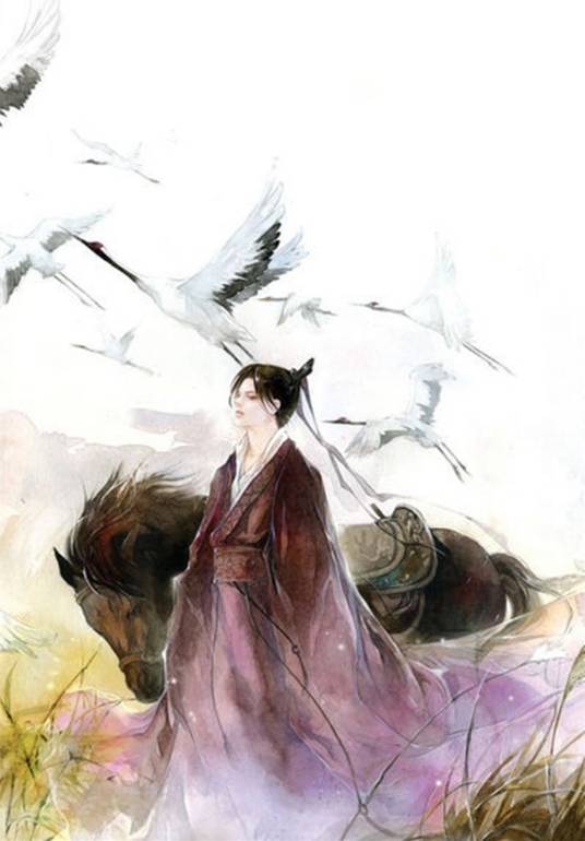 孟珏（桐华著作《云中歌》小说中的人物）