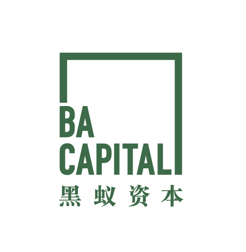 黑蚁资本