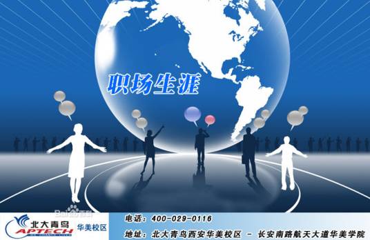 IT项目管理（2012年人民邮电出版社出版的图书）