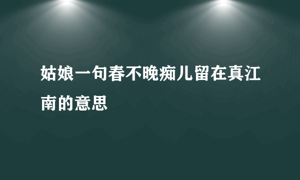 姑娘一句春不晚痴儿留在真江南的意思