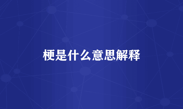 梗是什么意思解释