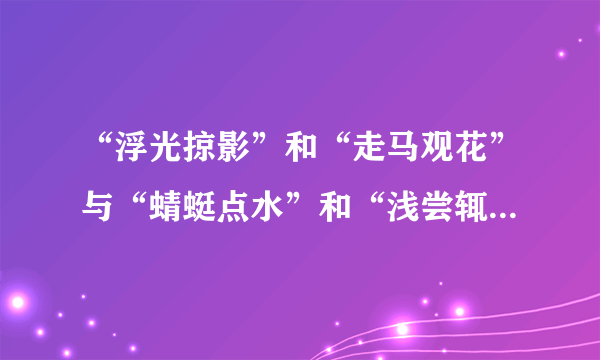 “浮光掠影”和“走马观花”与“蜻蜓点水”和“浅尝辄止”的区别