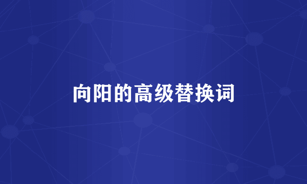 向阳的高级替换词