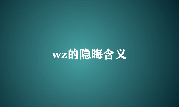 wz的隐晦含义