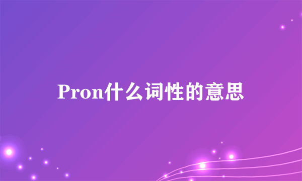 Pron什么词性的意思