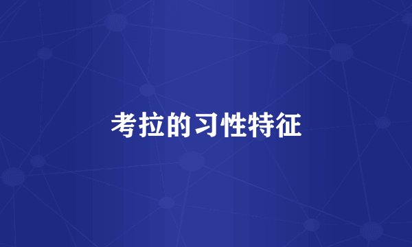 考拉的习性特征